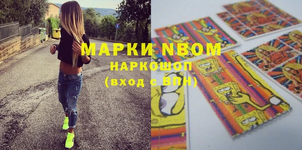 Альфа ПВП Аркадак