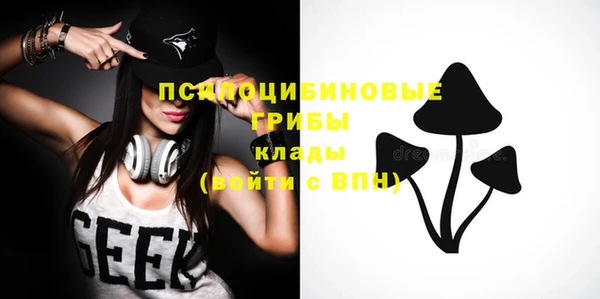 Альфа ПВП Аркадак