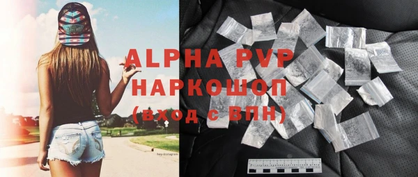 крисы Осташков